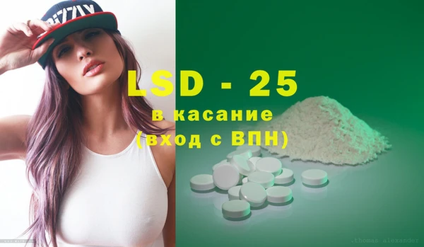 шишки Дмитриев